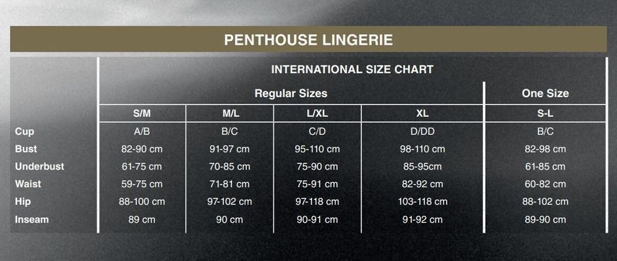 Боді Penthouse Salute Me XL Black (дефекти на пакованні!!!) SO6438-R фото