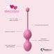 Набір вагінальних кульок для просунутих FeelzToys - FemmeFit Advanced Pelvic Muscle Training Set SO5067 фото 6