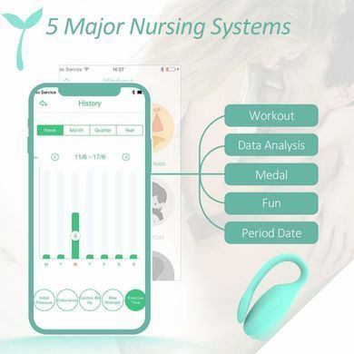 Смарт-тренажер Кегеля Magic Motion Kegel Rejuve, бюджетний варіант, для тренувань і задоволення SO3114 фото